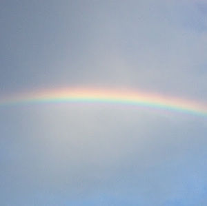 Meet your Posher, Tran